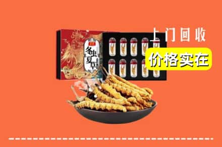 杭州市西湖回收冬虫夏草
